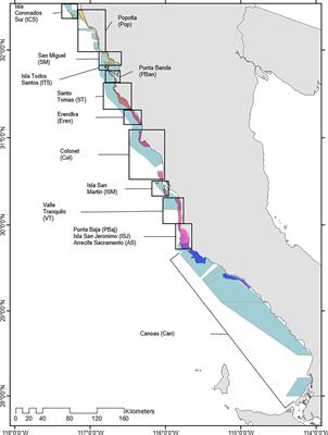 Understanding the impact of environmental variability and fisheries on the red sea urchin population in Baja California